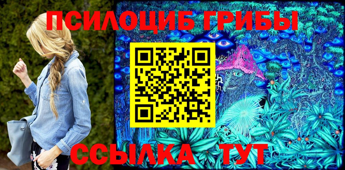 Псилоцибиновые грибы ЛСД Элиста