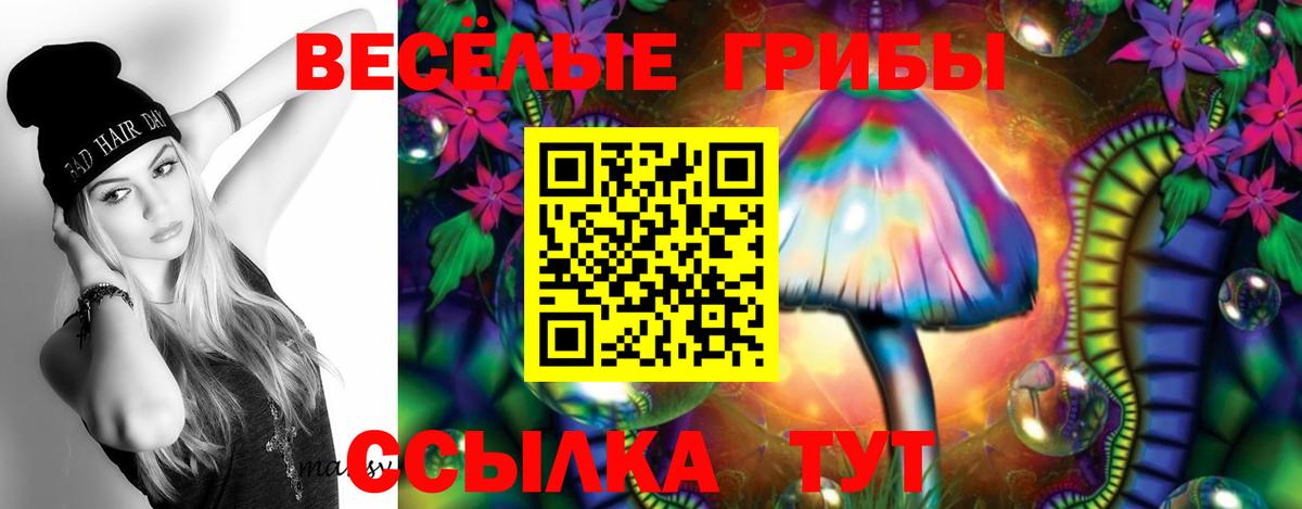 Псилоцибиновые грибы мицелий  Вход с VPN  наркота  Элиста 
