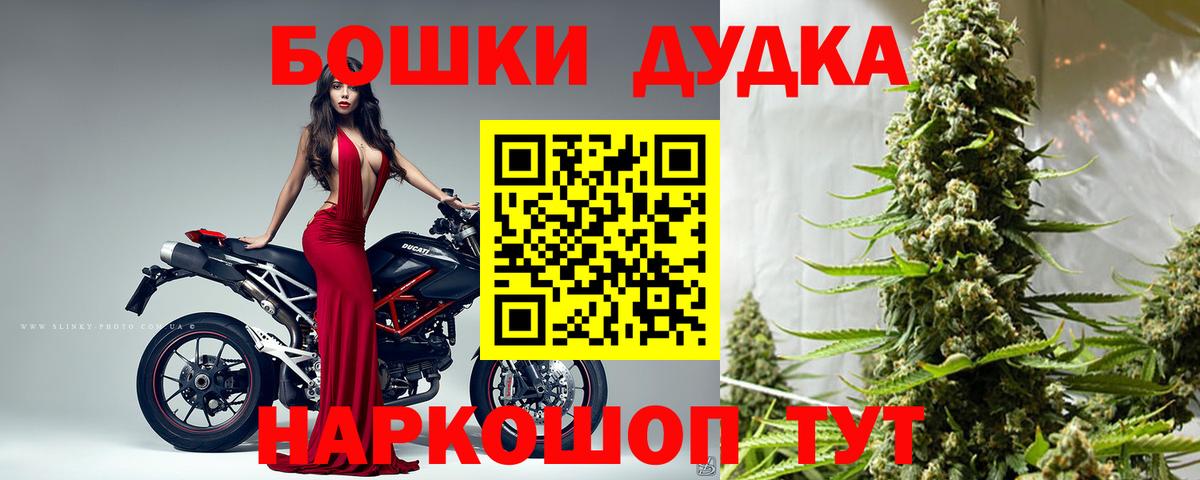 Канабис сатива Элиста